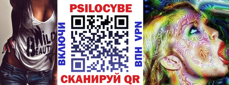 продажа наркотиков  Покровск  Псилоцибиновые грибы прущие грибы 
